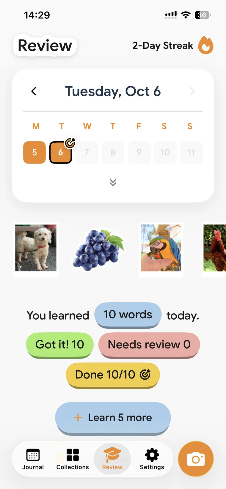 The Review tab for Tuesday, Oct 6: ten words learned, and a button to learn five more.