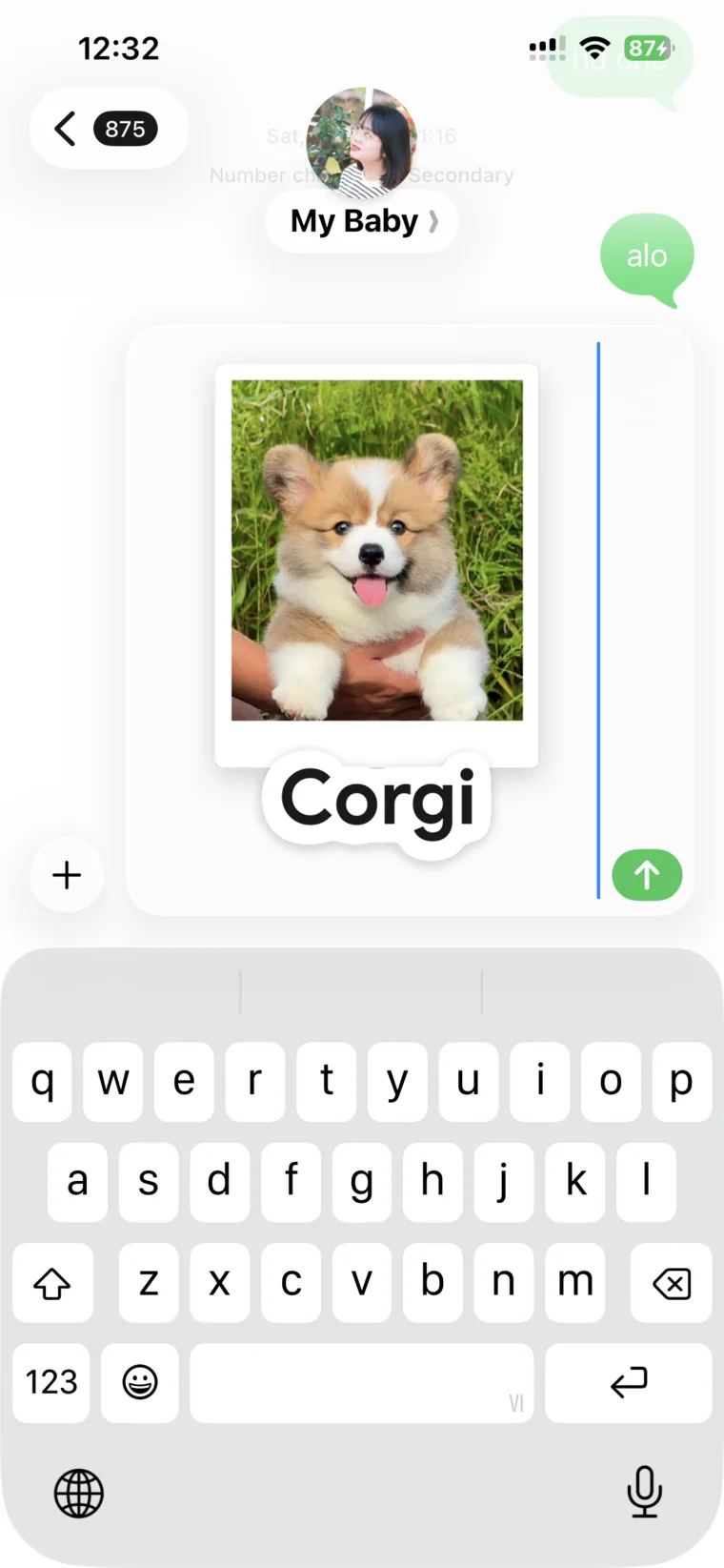 The Corgi sticker sent in Messages, the word Corgi printed under the photograph.