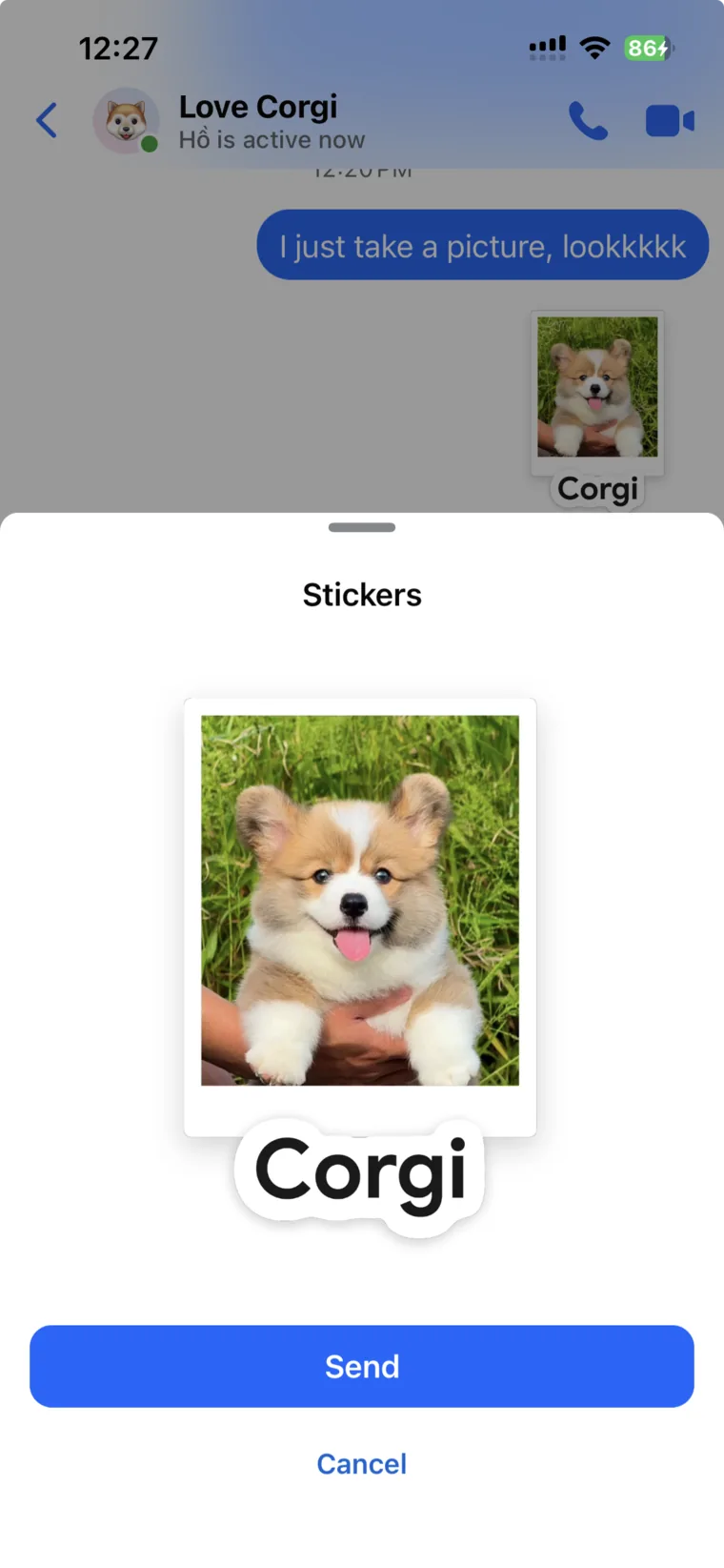 The same Corgi sticker ready to send in Messenger.