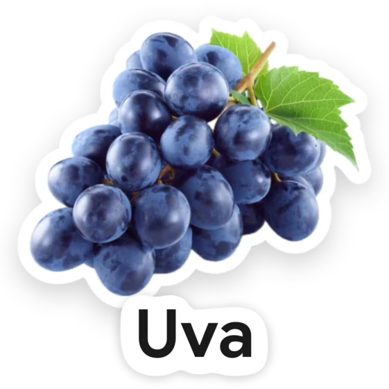 Grapes, cut out and labelled “Uva” in Spanish.