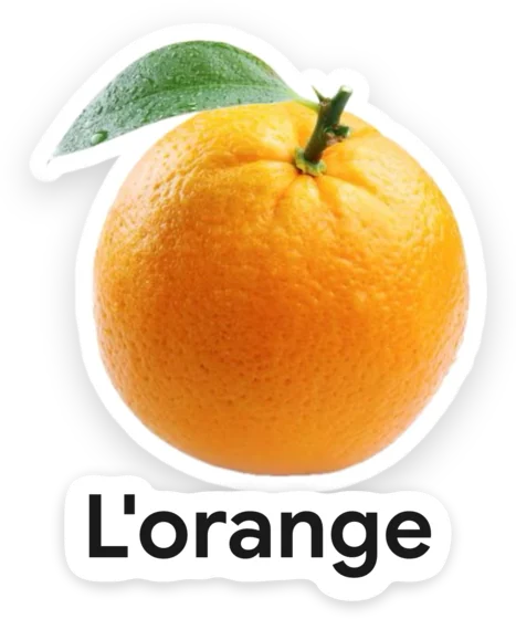 An orange, cut out and labelled “L’orange” in French.
