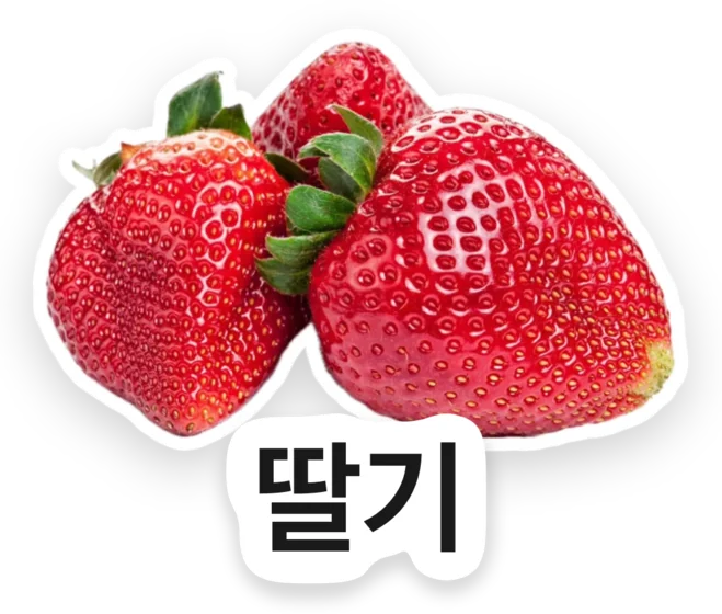 Strawberries, cut out and labelled “딸기” in Korean.
