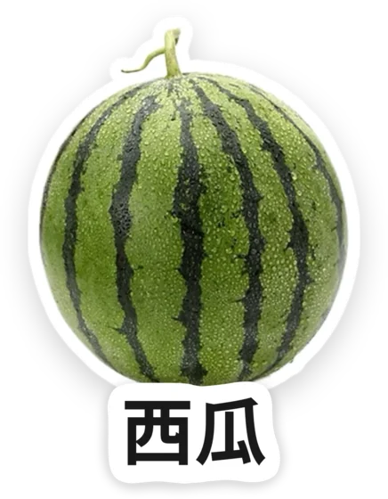 A watermelon, cut out and labelled “西瓜” in Chinese.